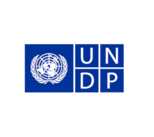 United Nation Development Program (UNDP)